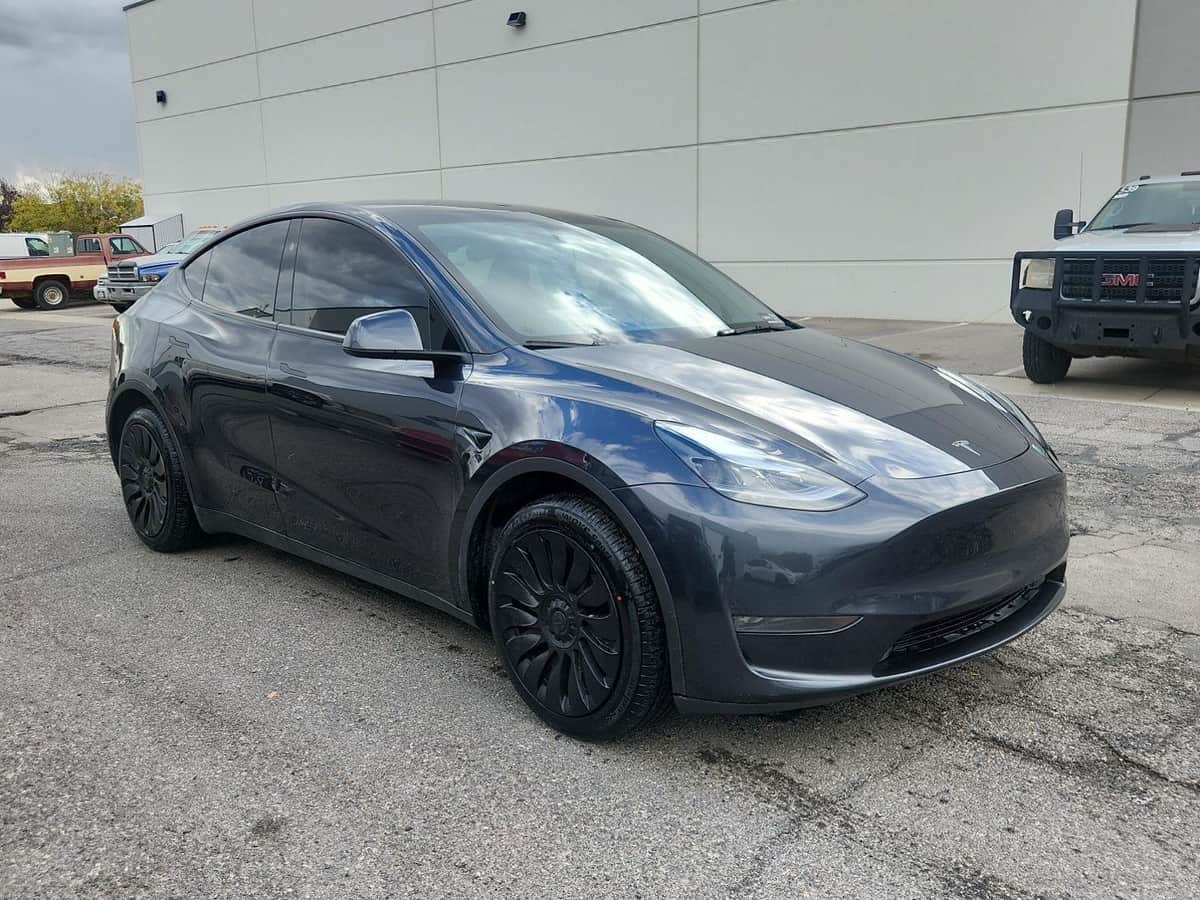 2025 Tesla Model Y Long Range